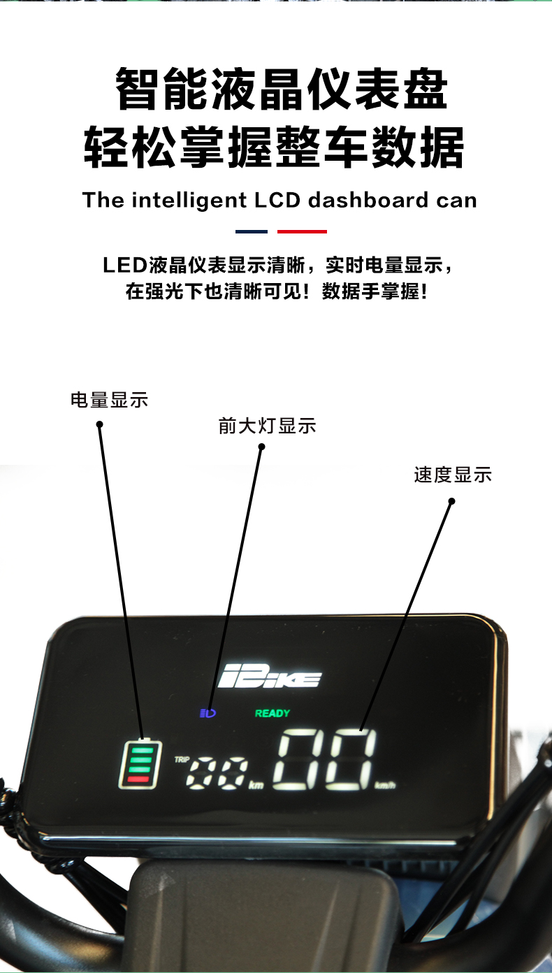 大嘴鸭_10.jpg